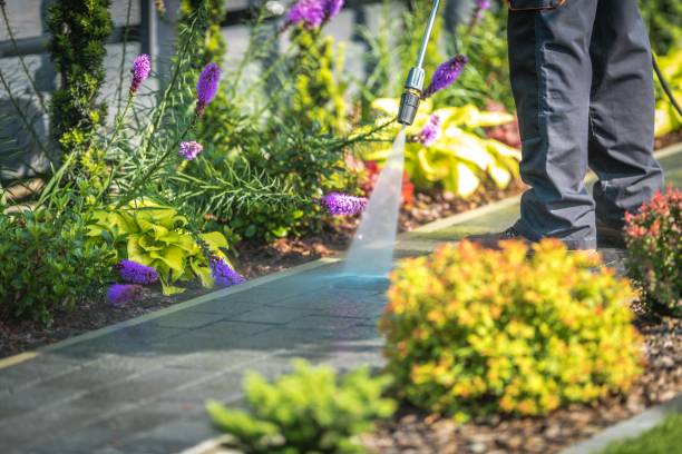 Best Dumpster Area Cleaning  in Steger, IL