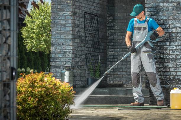 Best Paint Preparation  in Steger, IL