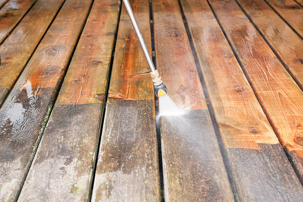 Best Spring Cleaning  in Steger, IL
